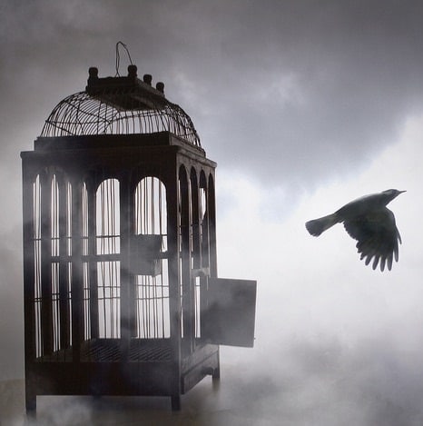 دانلود آهنگ برای آزادی شروین دنیا دادرسان